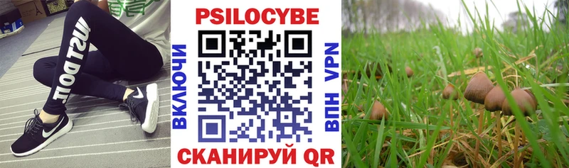 Псилоцибиновые грибы мицелий  Кировград 