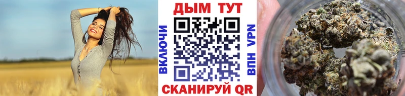 Каннабис план  hydra ссылка  Кировград  что такое наркотик 